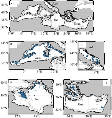 Spatial Distribution and Abundance of Mesopelagic Fish Biomass in the Mediterranean Sea